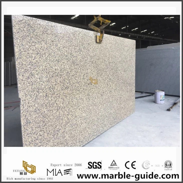 Chrysanthemum Yellow Granite Slabs For Sale
